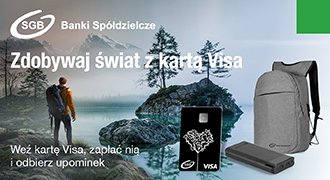 SGB Visa 330x180 - Visa