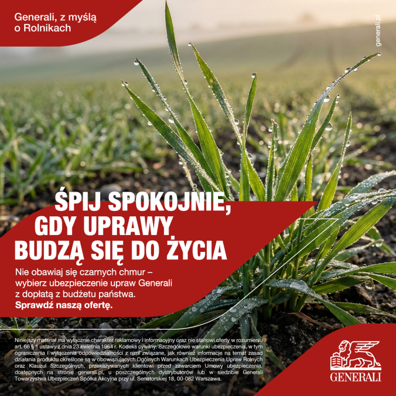grafika reklamowa